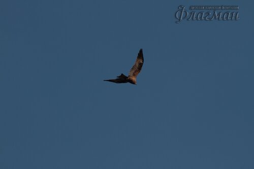 Canon EOS 7D_20190711_171559_r